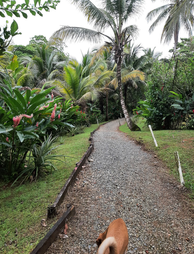 Path